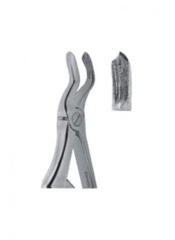 Extracting Forceps